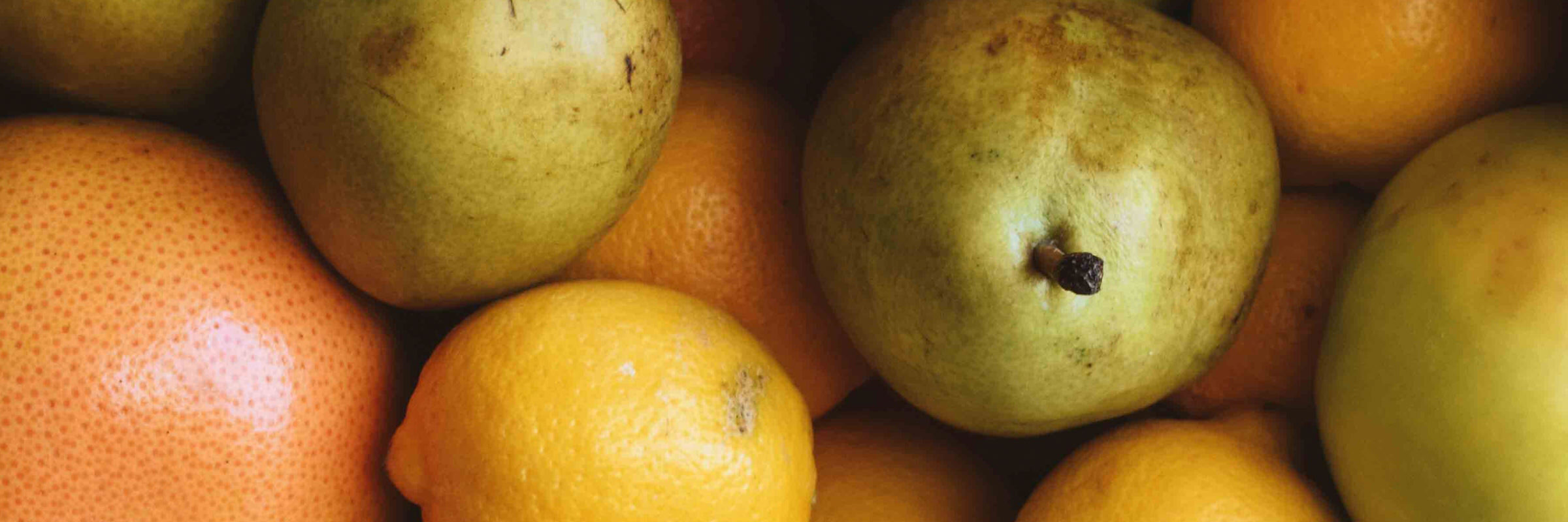 Foto zeigt eine Auswahl an Früchten