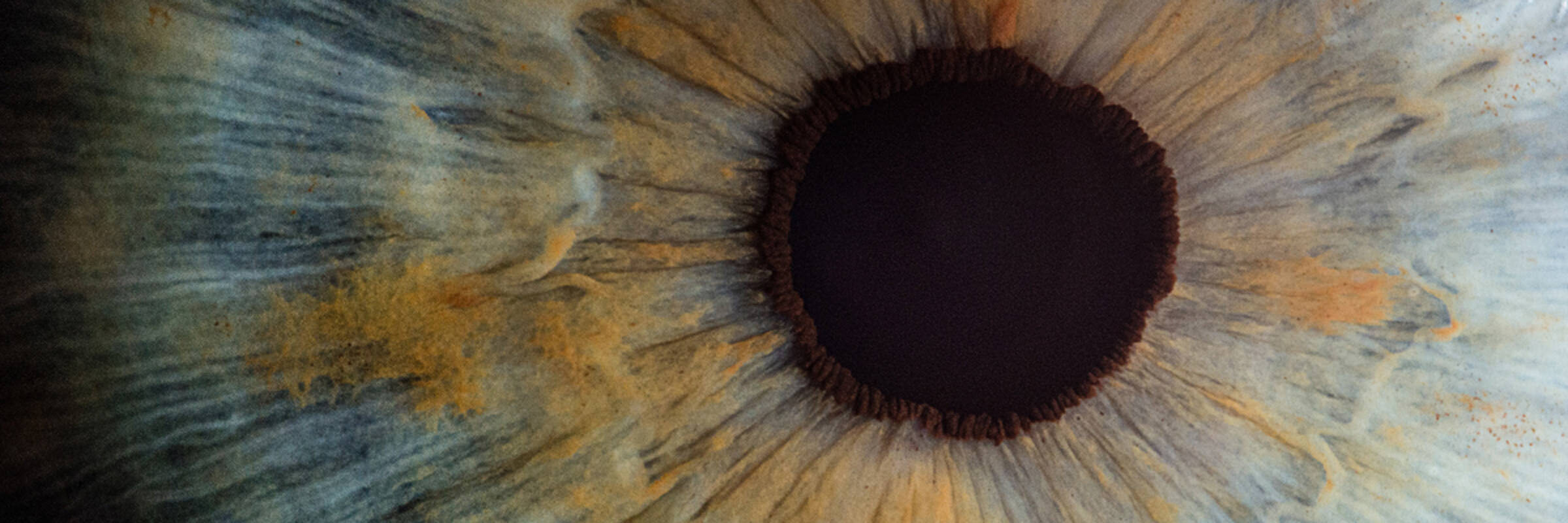 Foto zeigt Iris und Pupille eines Auges